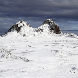 A recorrer la Antártica