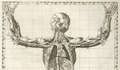 3. Cuerpo humano, año 1758.