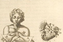 4. Abdomen, año 1696.