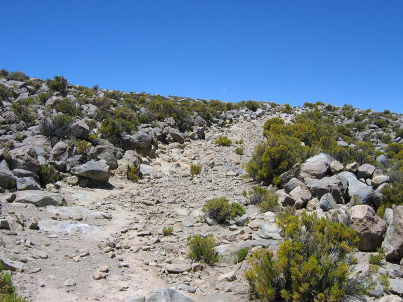 Camino del Inca