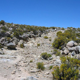 Camino del Inca