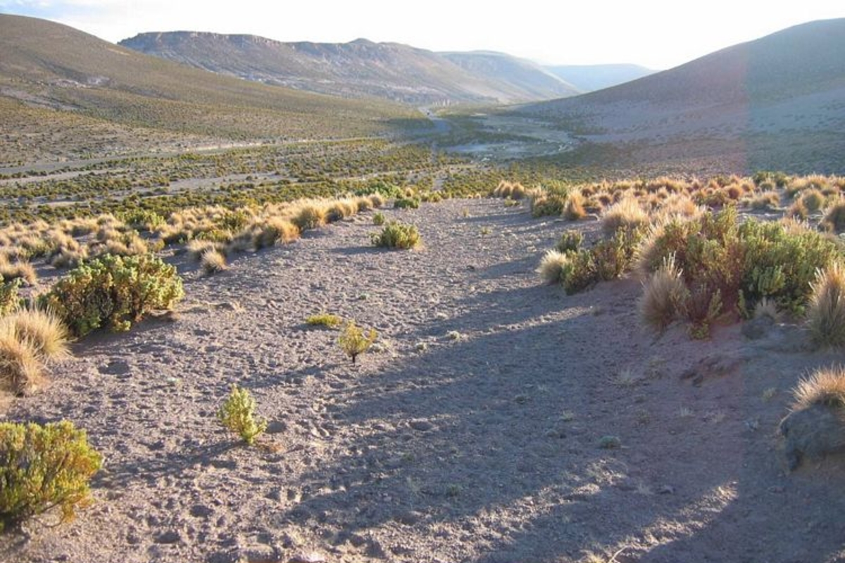 1. Camino despejado en el sector de Quebe, Región de Tarapacá.