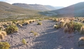 1. Camino despejado en el sector de Quebe, Región de Tarapacá.