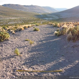 1. Camino despejado en el sector de Quebe, Región de Tarapacá.