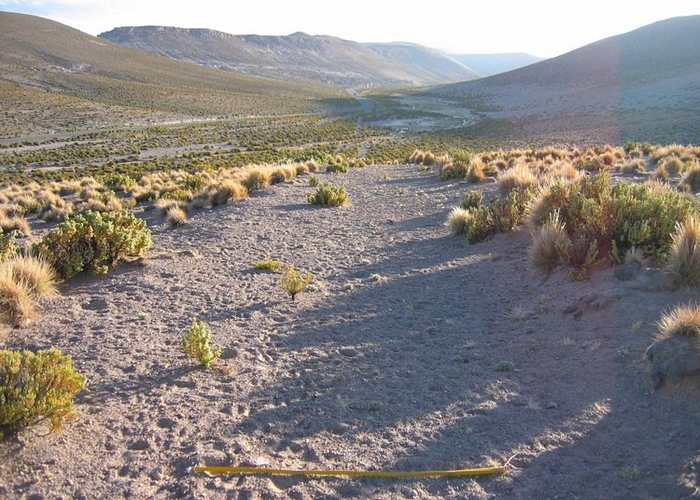 1. Camino despejado en el sector de Quebe, Región de Tarapacá.