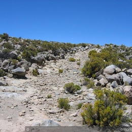 2. Camino de acceso a Choquecollo, Enquelga, sector Isluga.