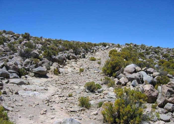 2. Camino de acceso a Choquecollo, Enquelga, sector Isluga.