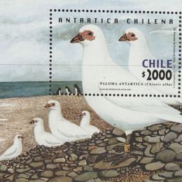 11. Estampilla con ilustraciones de la Antártica chilena.