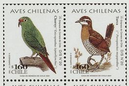 12. Estampillas con ilustraciones de aves chilenas.