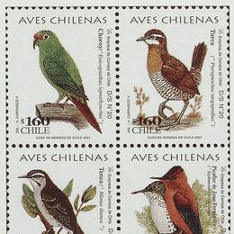 12. Estampillas con ilustraciones de aves chilenas.