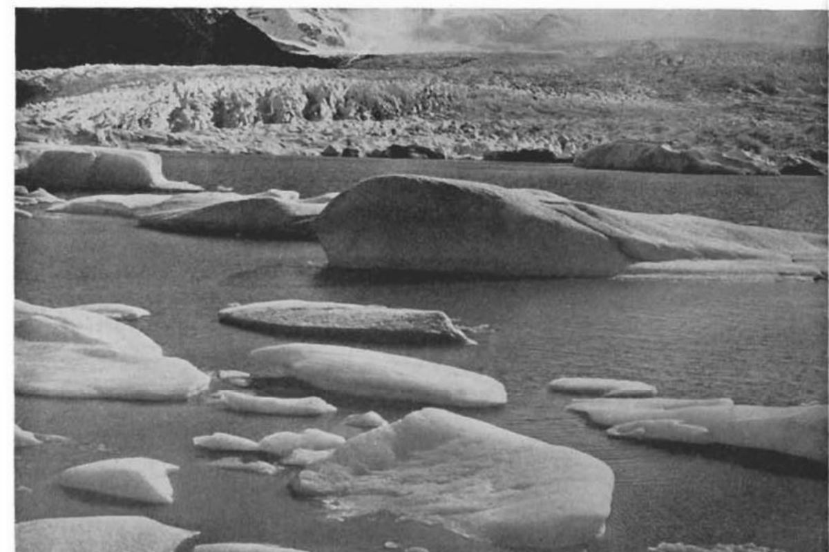 6. Ventisqueros en los canales patagónicos.