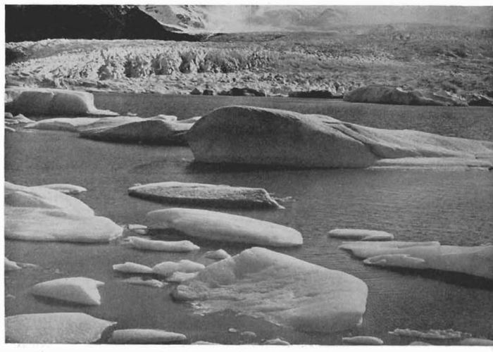 6. Ventisqueros en los canales patagónicos.