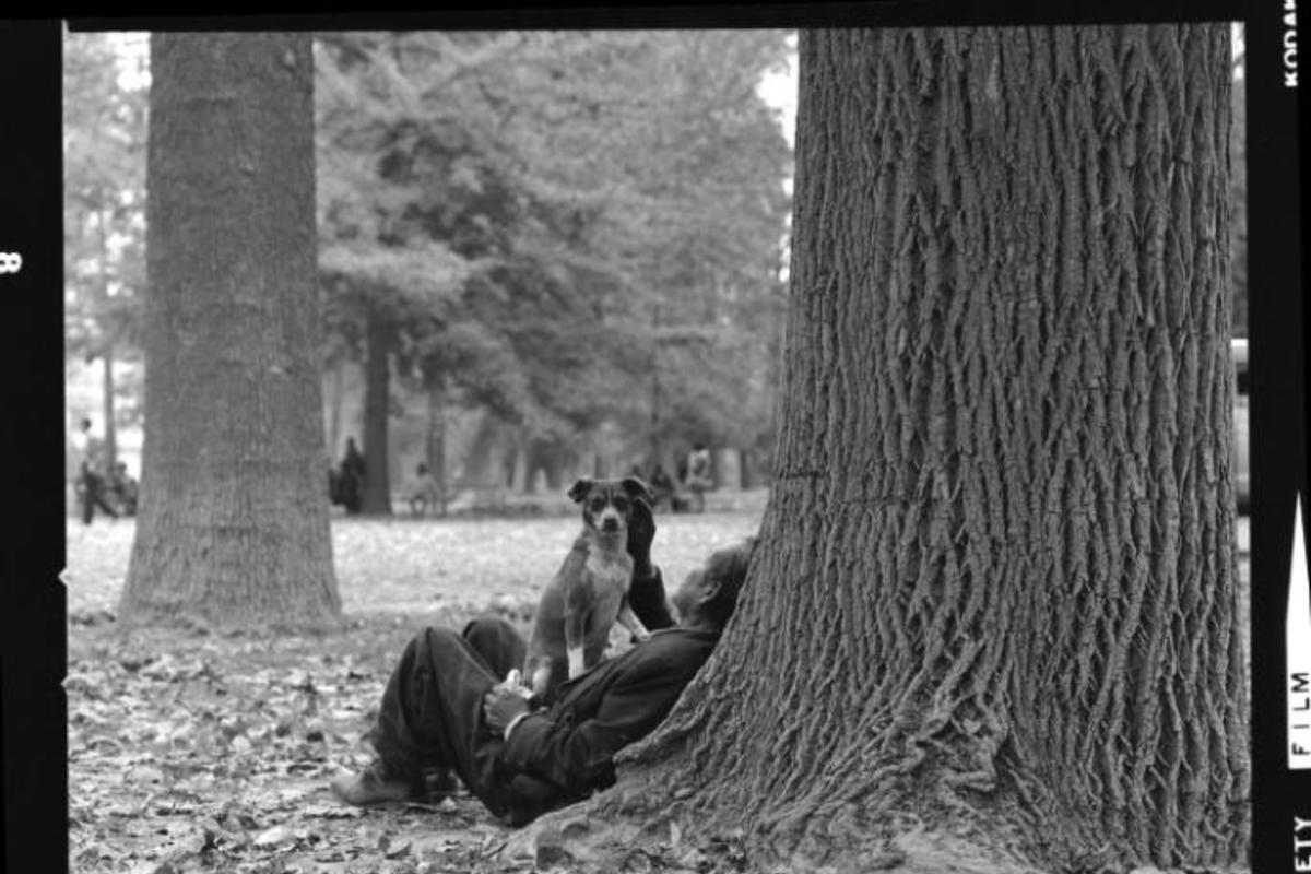 5. Parque Quinta Normal, 1972.