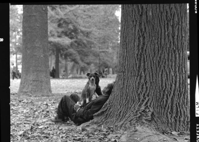 5. Parque Quinta Normal, 1972.