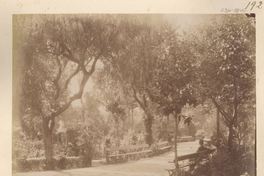 Parque Municipal de Valparaíso, hacia 1880.