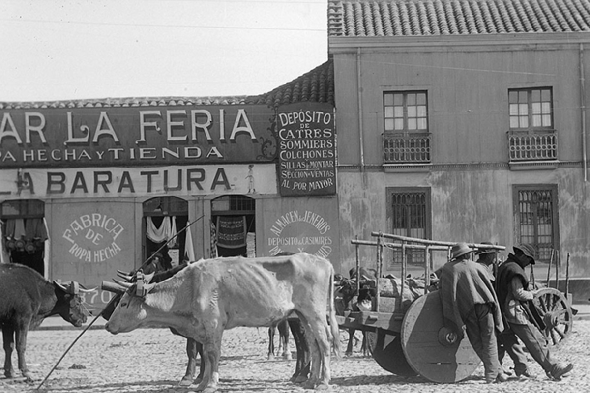 Ojo fotográfico