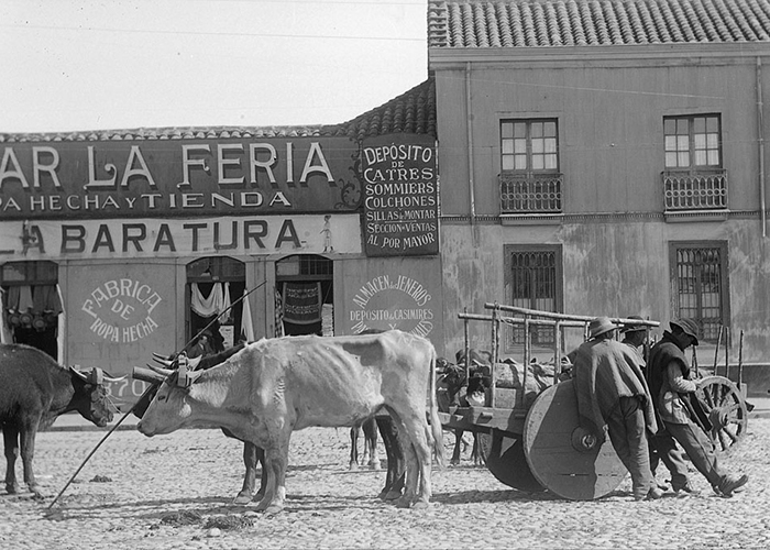 Ojo fotográfico