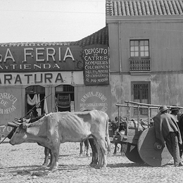 Ojo fotográfico