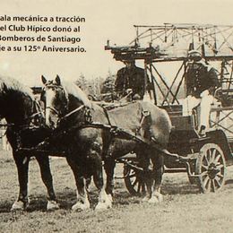 8. Antigua escalera mecánica, empujada por caballos.