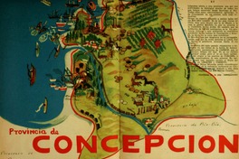 6. Provincia de Concepción.