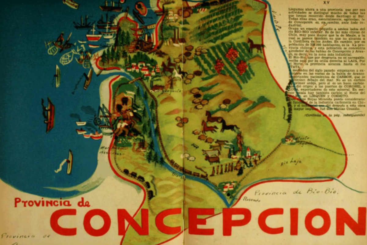 6. Provincia de Concepción.