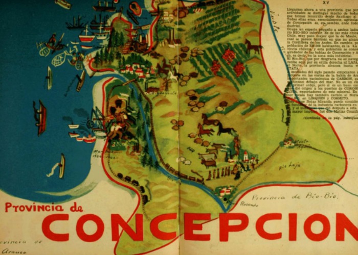 6. Provincia de Concepción.