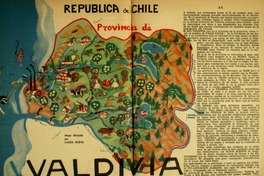 8. Provincia de Valdivia.