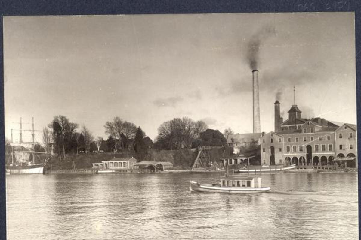 5. fábrica de la cervecería Andwandter con máquinas a vapor funcionando. Valdivia, 1906.