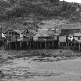 2. Palafitos de Castro, en Chiloé, 1973. Fotografía de Armindo Cardoso.