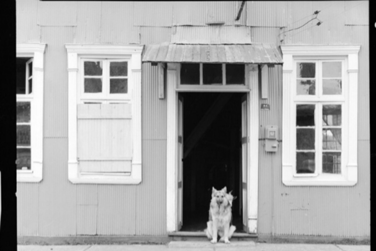 7. Casa de Chiloé, 1973. Fotografía de Armindo Cardoso.