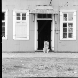 7. Casa de Chiloé, 1973. Fotografía de Armindo Cardoso.