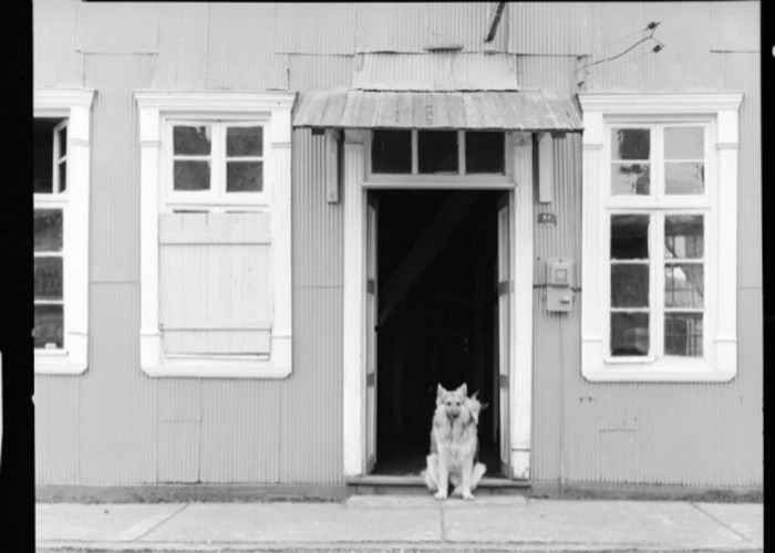 7. Casa de Chiloé, 1973. Fotografía de Armindo Cardoso.