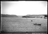 1. Vista del río Maule y Constitución, 1910.