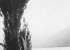 4. Embarcación en el río Maule, 1922.