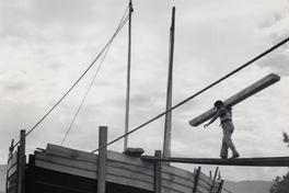 Trabajo en astillero del Maule, 1950. Fotografía de Domingo Ulloa.