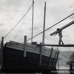 Trabajo en astillero del Maule, 1950. Fotografía de Domingo Ulloa.