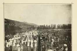 4. Competencia de caballos en Viña del Mar. Año 1901.