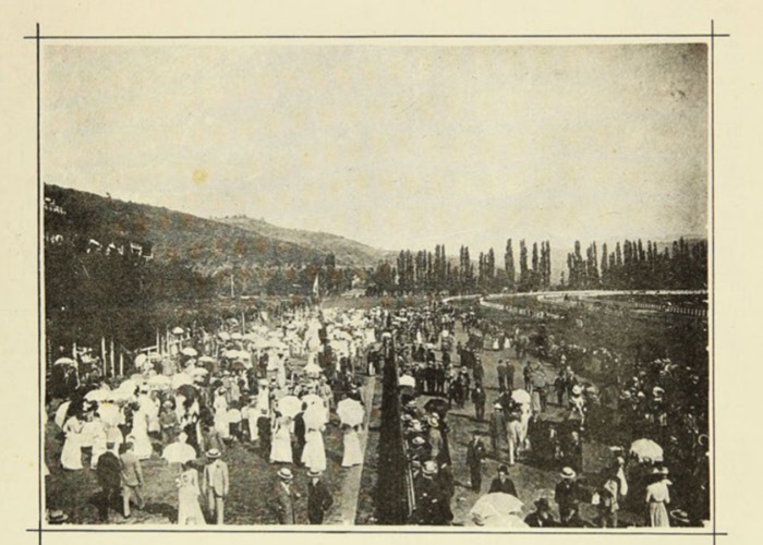 4. Competencia de caballos en Viña del Mar. Año 1901.