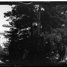 4. Parque y fachada del Palacio de Lota, 1907. Fotografía de Julio Bertrand Vidal.