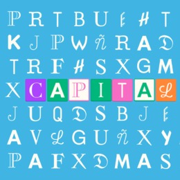 Capital