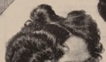 5. Detalle de retrato litográfico de María Schumann de Paredes.