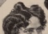 5. Detalle de retrato litográfico de María Schumann de Paredes.