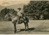 2. Hacendado, entre 1901 y 1910.