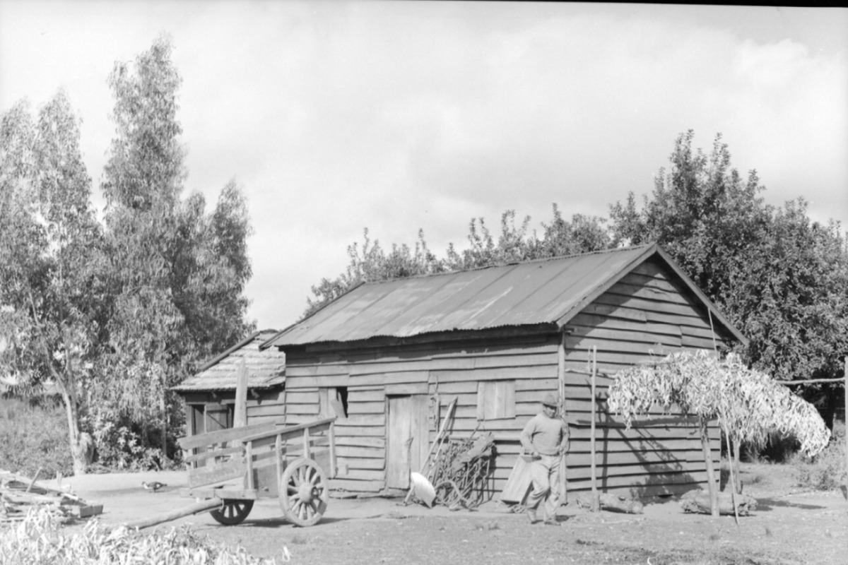4. Campo en Talca. Fotografía de Armindo Cardoso, 1972.