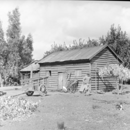 4. Campo en Talca. Fotografía de Armindo Cardoso, 1972.