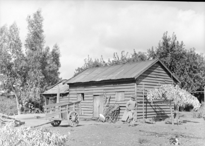 4. Campo en Talca. Fotografía de Armindo Cardoso, 1972.