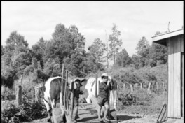 5. Campo en Talca. Fotografía de Armindo Cardoso, 1972.