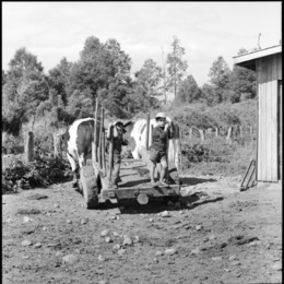 5. Campo en Talca. Fotografía de Armindo Cardoso, 1972.