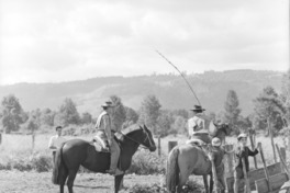 6. Campo en Talca. Fotografía de Armindo Cardoso, 1972.