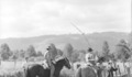 6. Campo en Talca. Fotografía de Armindo Cardoso, 1972.